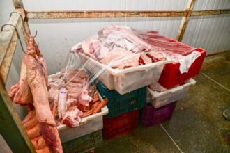 Vigilância Sanitária interdita parcialmente açougue de grande porte no bairro Patagônia após denúncia