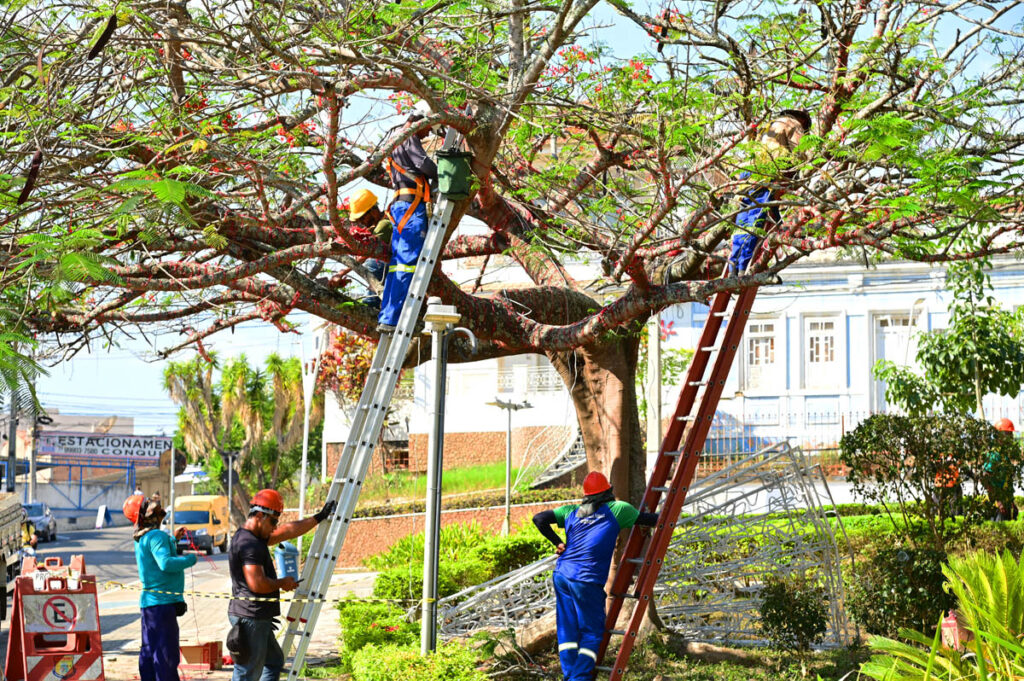 Prefeitura inicia montagem da ornamentação do Natal Conquista de Luz na Praça Tancredo Neves